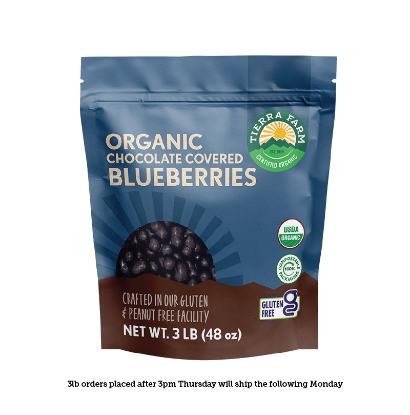 Organic &lt;br&gt; Dark Chocolate Covered Blueberries