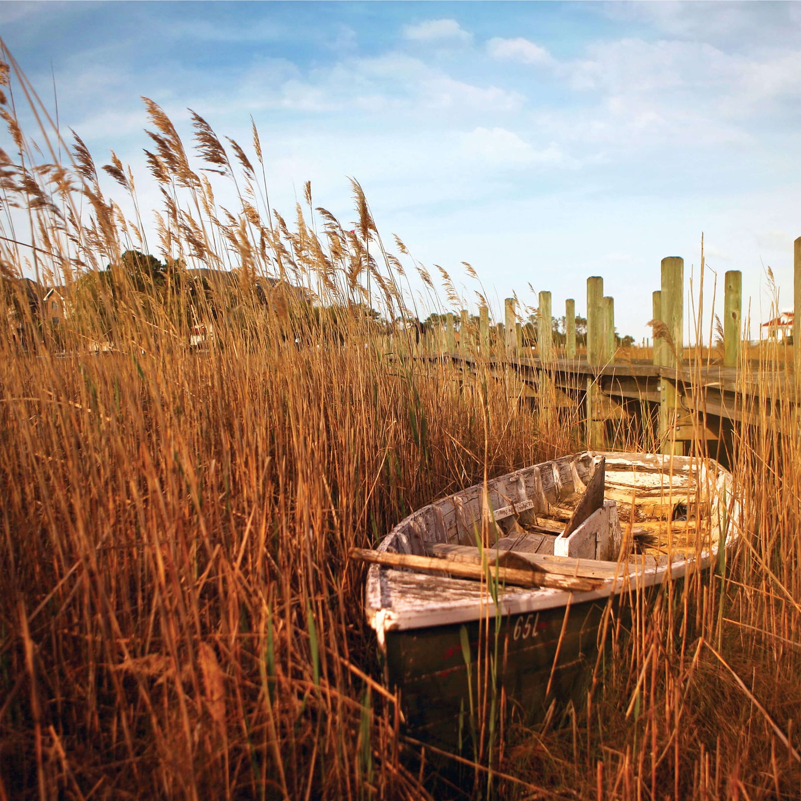 Fishing for a Plastic-Free Packaging Solution