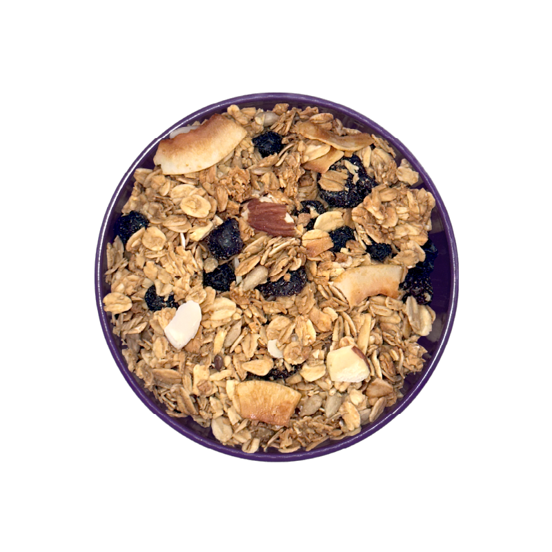 Organic &lt;br&gt; Blueberry Almond Granola
